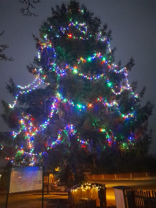 Po roce se náš strom opět rozsvítil. Všem se v očích rozzářily malé plamínky radosti takové, jaké člověk nosí jen o Vánocích.
